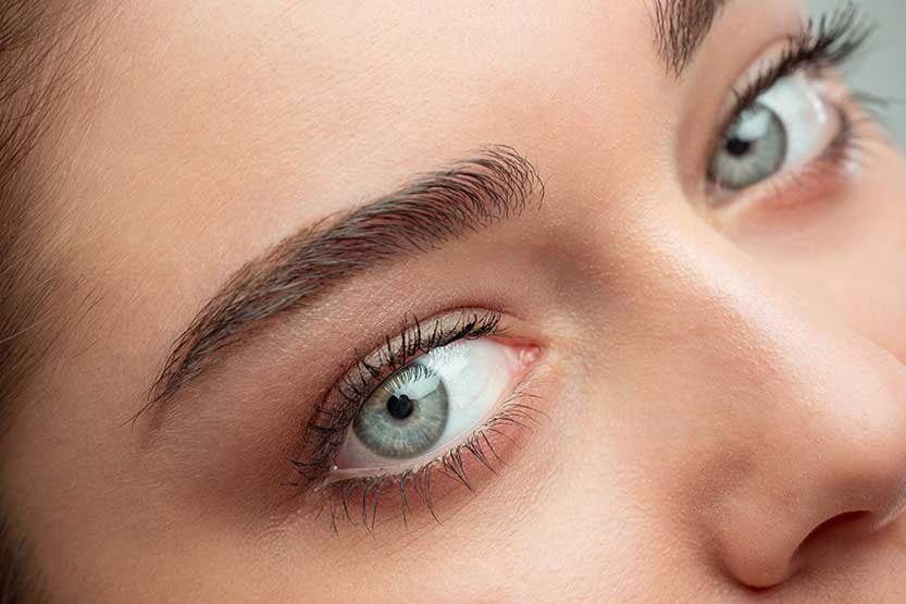 cejas002