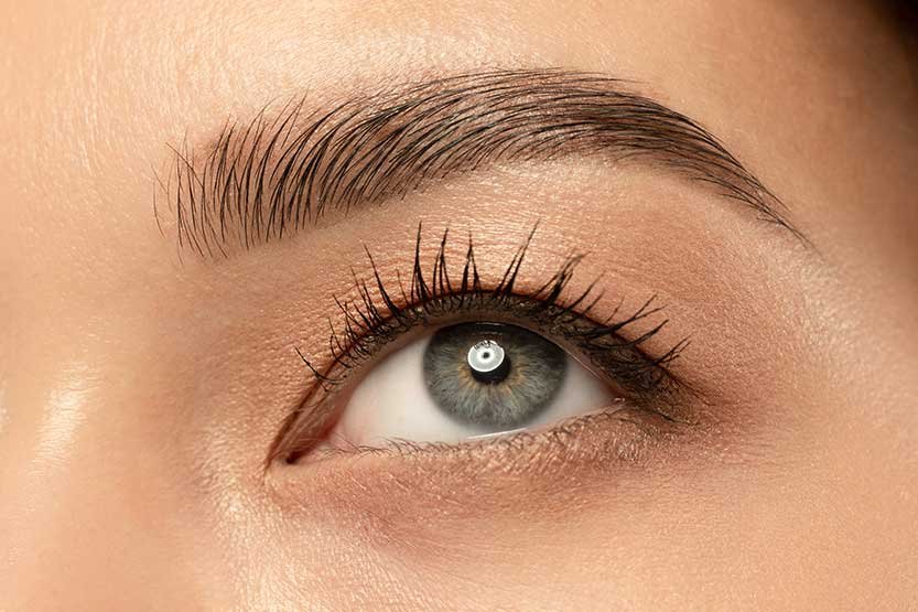 cejas004